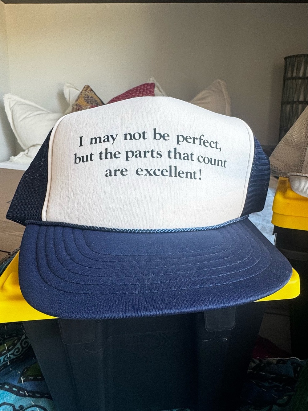VTG Trucker Hat with 'I may not be perfect...' Great fun gift